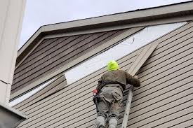 Best Fiber Cement Siding Installation  in Winfield, IA